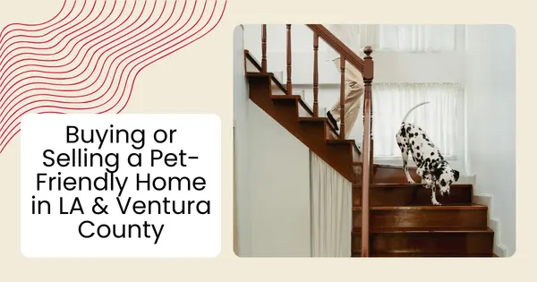 Buying or Selling a Pet-Friendly Home in LA & Ventura County,Robin Aimaq