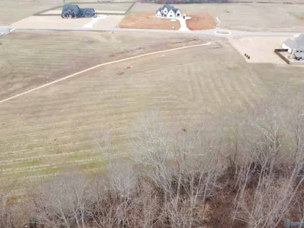 119 Sydney School Way, Hazel Green, AL 35750