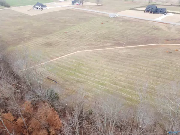 111 Sydney School Way, Hazel Green, AL 35750