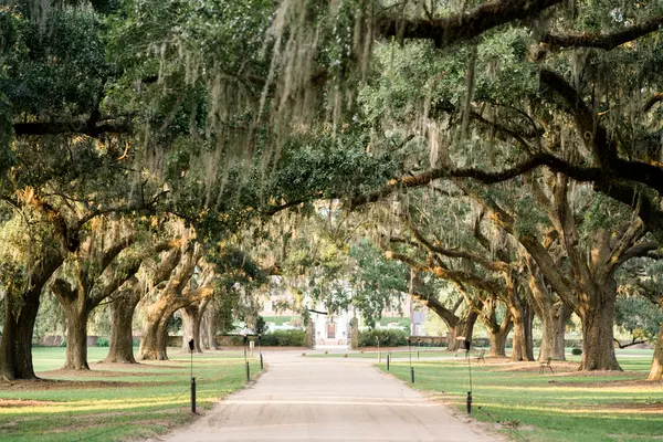 Whispers in the Moss: Southern Folklore and the Gullah Tradition