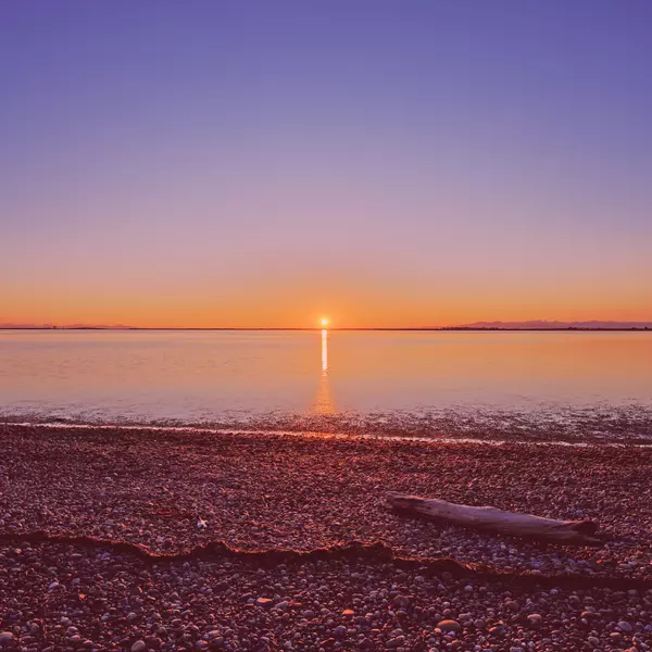 Incredible Neighbourhoods in Tsawwassen