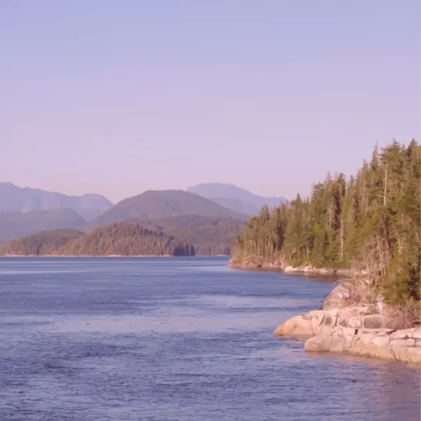 Why Buyers Are Drawn to Oceanfront Homes in Campbell River