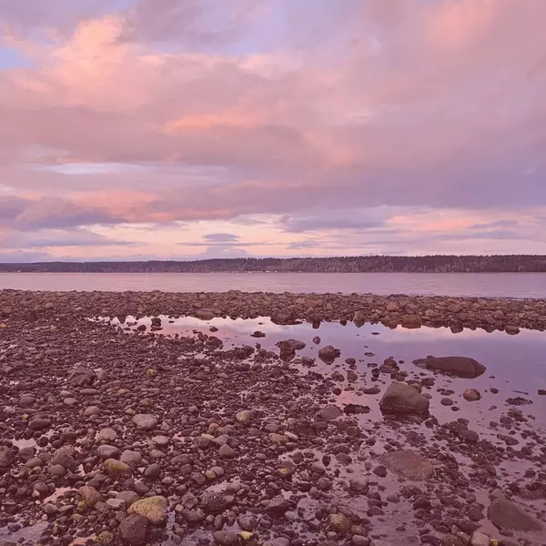 Is Campbell River a Good Place to Live? Here’s My Honest Answer