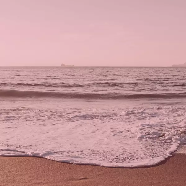 Finding the Right Realtor in Campbell River: What Actually Matters (And Why It Pays Off)