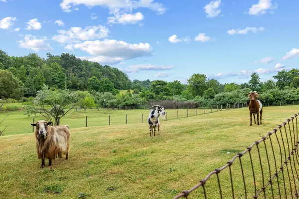2425 OLD GREENVILLE RD, Staunton, VA 24401