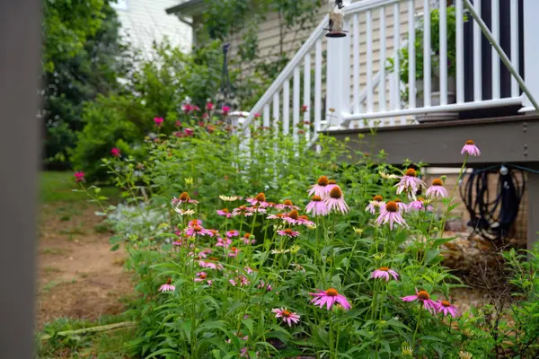 227 BOWMANS RUN DR, Stuarts Draft, VA 24477