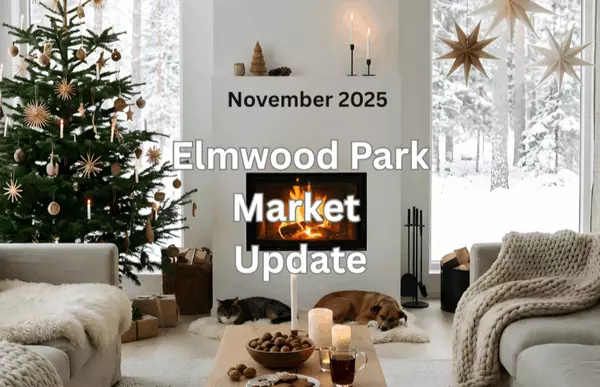 Elmwood Park Market Update November 2025,Erica McClain