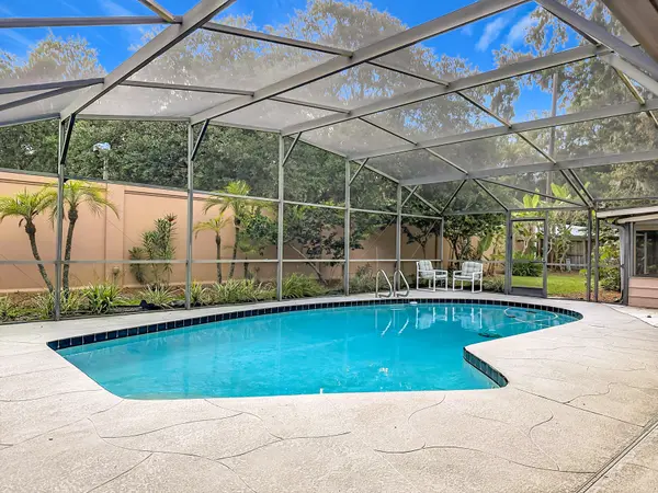 Backyard Oasis