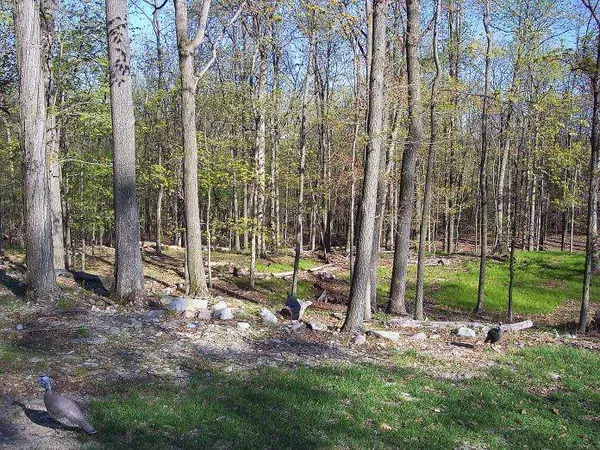 265 Rt202, Montville Twp., NJ 07045