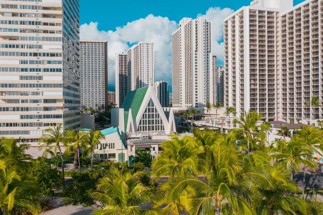 Honolulu skyline with palms and high-rises