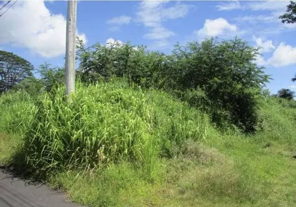 LAUKO RD, Mountain View, HI 96771