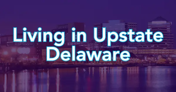 Allison Stine Launches Gold Team Coaching Program for Northrop Realty