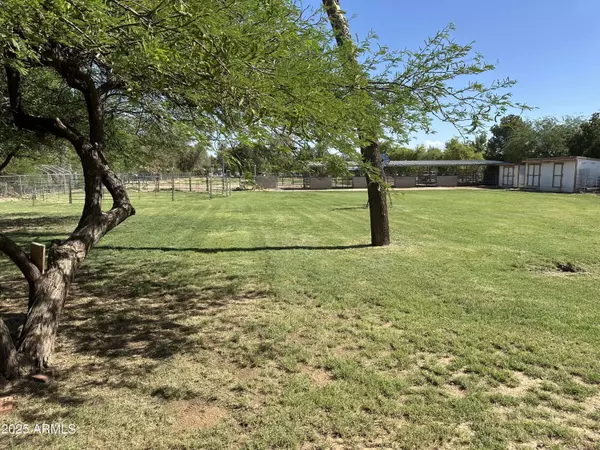 3738 E Hash Knife Draw Road, Queen Creek, AZ 85140