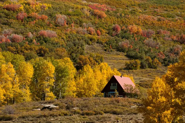 Cedar City