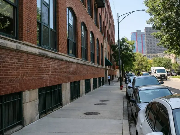 1727 S Indiana AVE #212, Chicago, IL 60616
