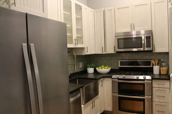 1727 S Indiana AVE #212, Chicago, IL 60616