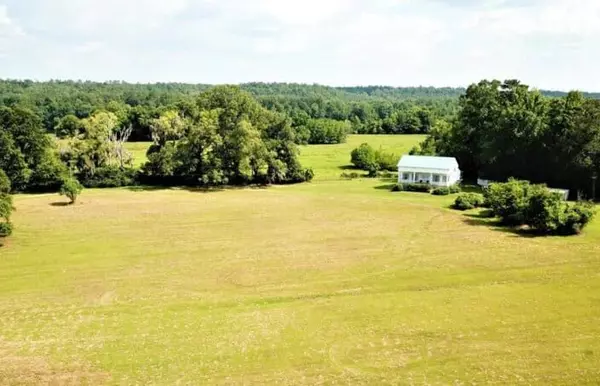 Why Southern Alabama is One of the Best Places to Start a Homestead in 2025