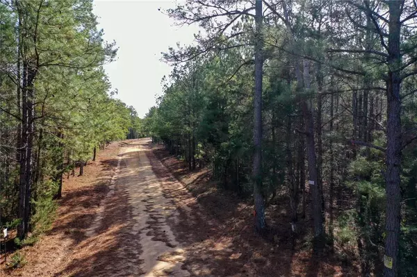 25 Lewis LN, Edgefield, SC 29824