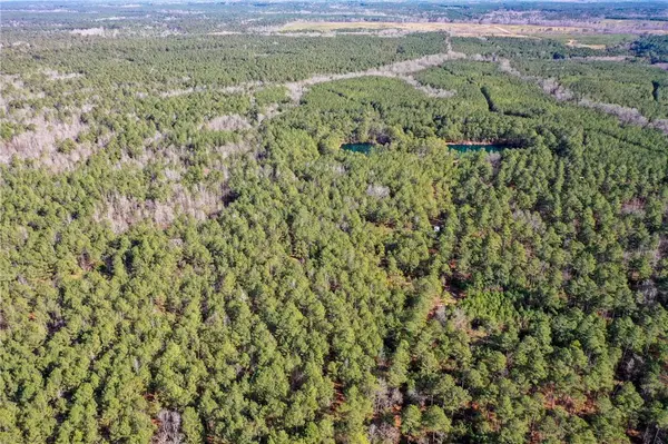 25 Lewis LN, Edgefield, SC 29824