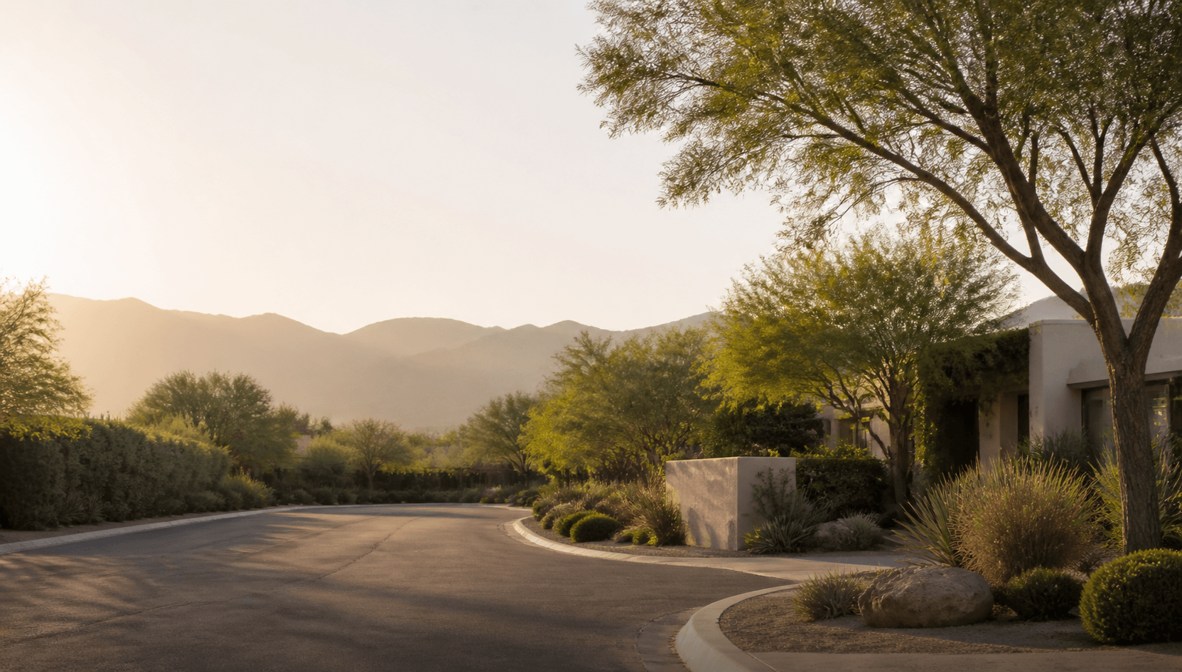 A warm Arizona residential street at golden hour