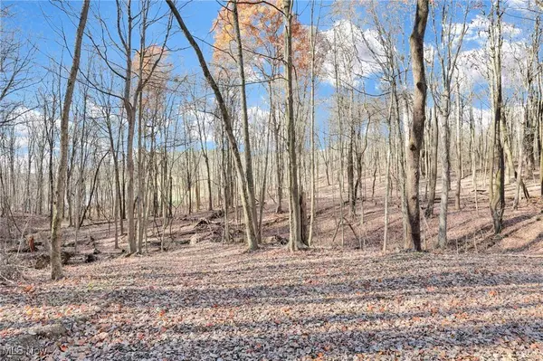 Mulberry RD SE, Mount Perry, OH 43760