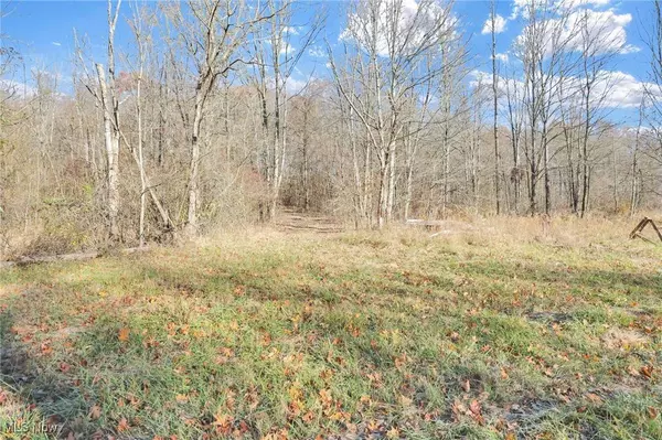 Mulberry RD SE, Mount Perry, OH 43760