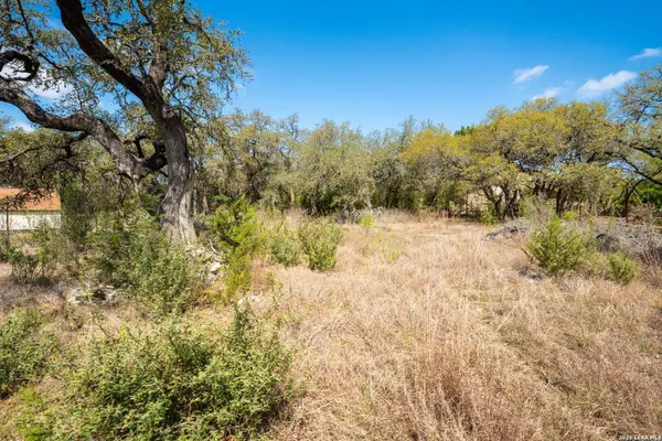 1501 Tee Pee, Spring Branch, TX 78070