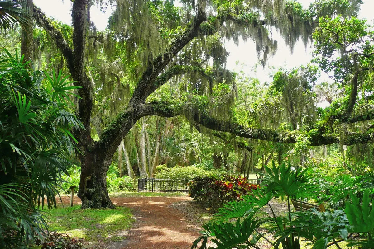 Washington_Oaks_State_Gardens_4