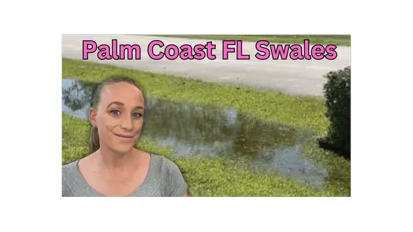 Palm Coast Florida Swales: What Every Homeowner Needs to Know