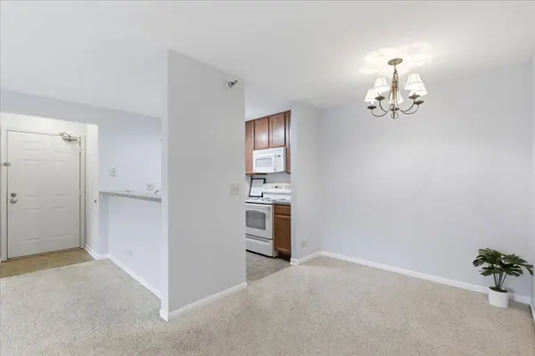 202 Glengarry DR #206, Bloomingdale, IL 60108