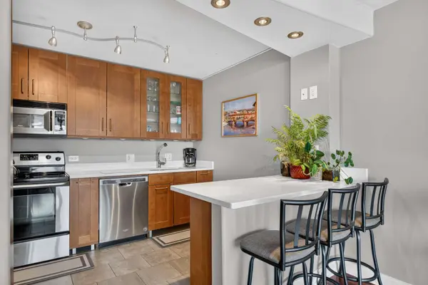 3930 N PINE GROVE AVE #1710, Chicago, IL 60613