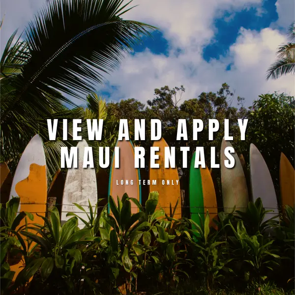 Landing page graphic to view all Maui long term rentals-2