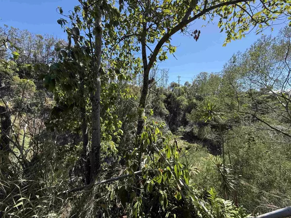 1669 Makawao Ave, Makawao, HI 96768