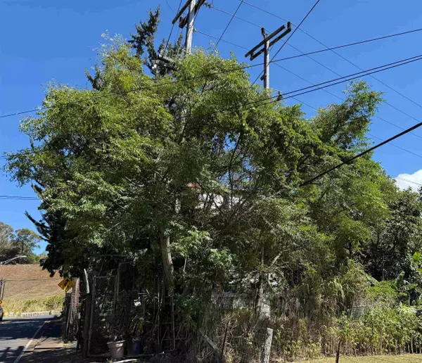 1669 Makawao Ave, Makawao, HI 96768