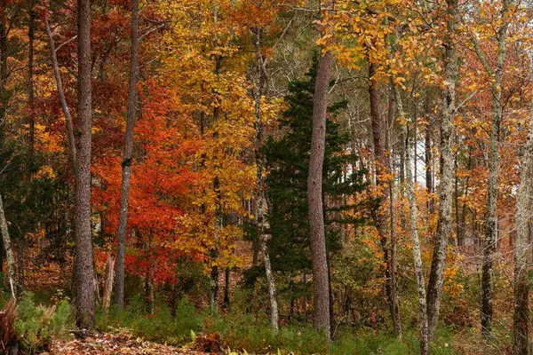 0 Worley RD, Soddy Daisy, TN 37379