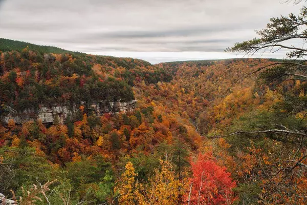 0 Worley RD, Soddy Daisy, TN 37379