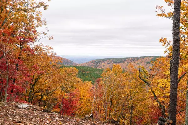 0 Worley RD, Soddy Daisy, TN 37379