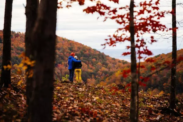 0 Worley RD, Soddy Daisy, TN 37379