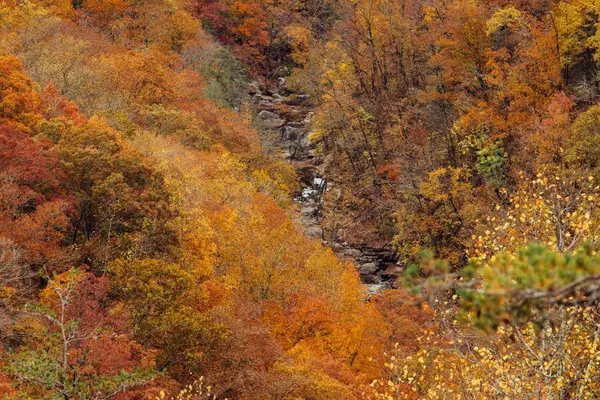 0 Worley RD, Soddy Daisy, TN 37379