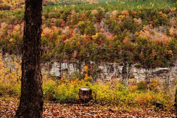 0 Worley RD, Soddy Daisy, TN 37379