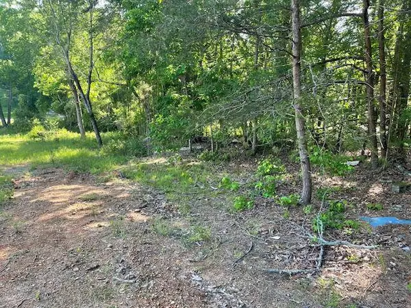 6283 Cooley RD, Harrison, TN 37341