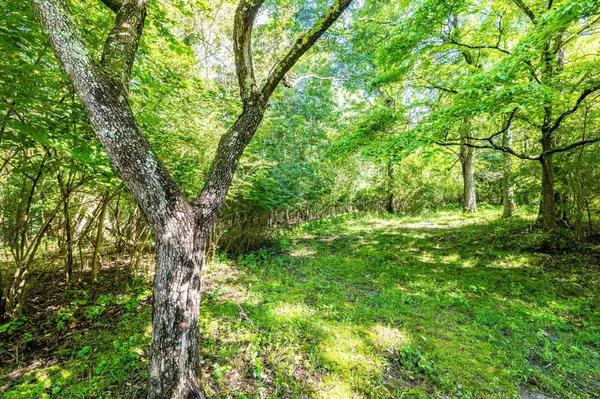 0 Stallings RD, Trenton, GA 30752