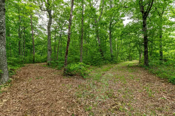 261 Gray Rock VW, Pikeville, TN 37367