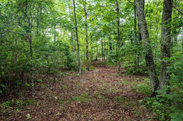 Lot 26 Gray Rock Vw, Pikeville, TN 37367