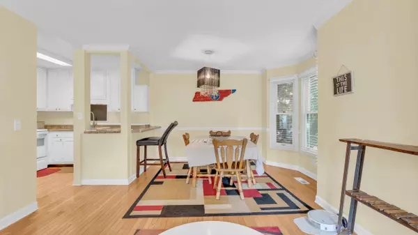 527 Winterview LN, Chattanooga, TN 37409