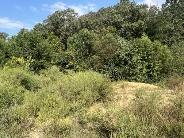 1601 Short Leaf LN, Soddy Daisy, TN 37379