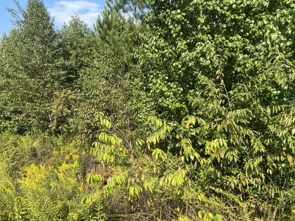 1601 Short Leaf LN, Soddy Daisy, TN 37379