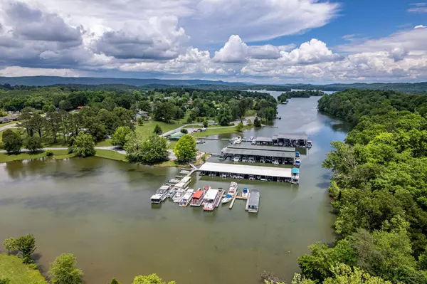 184 Waters Edge DR, Spring City, TN 37381