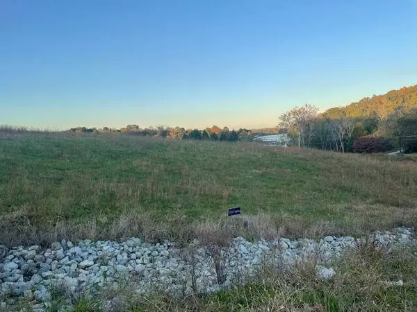 184 Waters Edge DR, Spring City, TN 37381