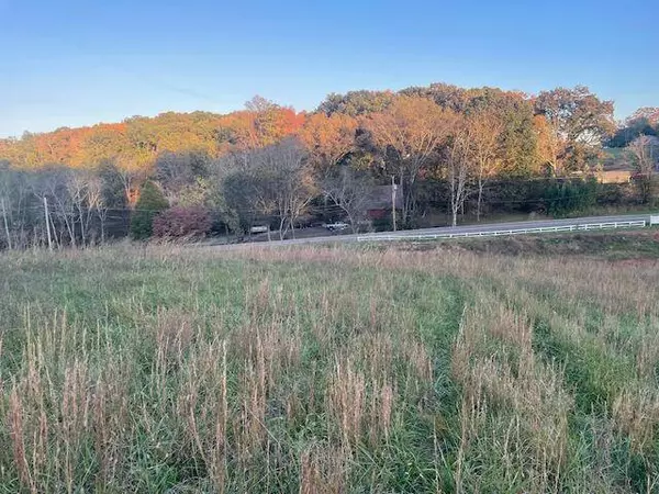 184 Waters Edge DR, Spring City, TN 37381